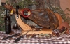Ham leg, 7,5kg, premium quality