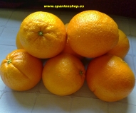 Fresh oranges - direct from the tree, 9 kg
